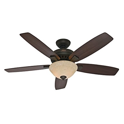 10. Hunter Fan Company 53176 Banyan 52-Inch Ceiling Fan