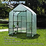 Deluxe Green House 56