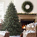 Balsam Hill Classic Blue Spruce Artificial Christmas Tree