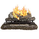 Pleasant Hearth VFL2-VO30DR 30