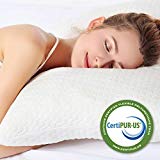 Pillows for Sleeping, Bed Pillow for Side Sleeper, Back Support, Registered with FDA Hypoallergenic CertiPUR-US Shredded Memory Foam for Adjustable Loft, Machine Washable Bamboo Cover - Queen