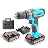 Qisiewell 21V Lithium-Ion Cordless Drill Driver 1.3 A 3/8 Inch Impact Driver Max Torque 30 N.m Variable Speed 18+1 Torque Setting with LED Light Quick Charger and Two 21V batteries