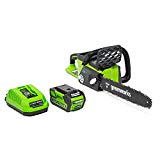 Greenworks 16-Inch 40V Cordless Chainsaw, 4.0 AH Battery Included 20312