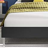 Signature Sleep Memoir 8 Inch Memory Foam Mattress with CertiPUR-US certified foam, Twin