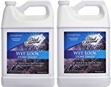 Black Diamond Stoneworks Wet Look Natural Stone Sealer Provides Durable Gloss and Protection to: Slate, Concrete, Brick, Pavers, Sandstone, Driveways, Garage Floors. Interior or Exterior. 2-Gallon