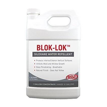 5. Rainguard International Blok-Lok Sealer