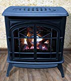 Thelin Echo Direct Vent (NG) Natural Gas or (LP) Propane Heater - Cast Iron Painted in Metallic Blue