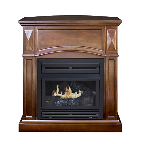 1. Pleasant Hearth Convertible Vent-Free Dual Fuel Fireplace