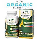 All-Natural Hip & Joint Supplement for Dogs - with Glucosamine, Chondroitin, MSM, and Organic Turmeric - Supports Healthy Joints in Large & Small Canines - 90 Chewable Treats