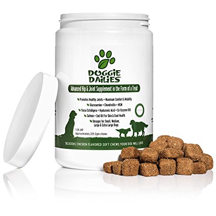 4. Advanced Hip & Joint Supplement for Dogs