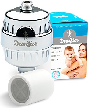 8. Dewifier Water Softener Shower Filter