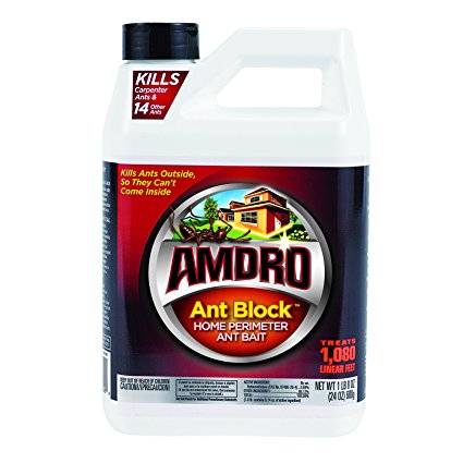 2. Ambro ant killer