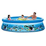 Intex 28125EH 10ft X 30in Ocean Reef Easy Set Pool Set with Filter Pump