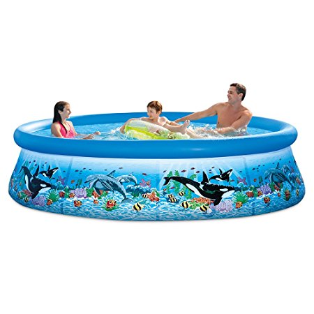 10. Intex 10ft X 30in Ocean Reef Easy Set Pool Set