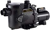 Jandy Stealth High Efficiency 1 HP 115/230V Up-rated Pump