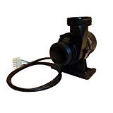 Laing E14 1-1/2-Inch Buttress Thread Circulation Spa Pump, 230-Volt