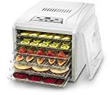 10 Tray Food Dehydrator (Cream)