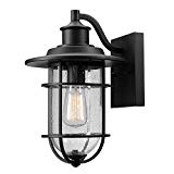 Globe Electric 44094 Turner 1-Light Indoor/Outdoor Wall Sconce, Black with Seeded Glass Shade