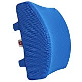 LoveHome Memory Foam Lumbar Support Back Cushion with 3D Mesh Cover Balanced Firmness Designed for Lower Back Pain Relief- Ideal Back Pillow for Computer/Office Chair, Car Seat, Recliner etc. (Azure)