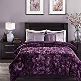 Chanasya Fuzzy Faux Fur Throw Blanket - Light Weight Blanket for Bed Couch and Living Room Suitable for Fall Winter and Spring (Twin) Aubergine