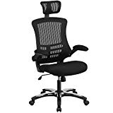 Flash Furniture High Back Office Chair | High Back Mesh Executive Office and Desk Chair with Wheels and Adjustable Headrest , Black -, BL-X-5H-GG