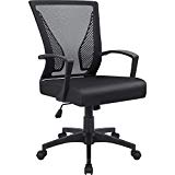 Furmax Office Mid Back Swivel Lumbar Support Desk, Computer Ergonomic Mesh Chair with Armrest (Black)