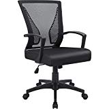 Furmax Office Mid Back Swivel Lumbar Support Desk, Computer Ergonomic Mesh Chair with Armrest (Black)