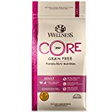Wellness Core Natural Grain Free Dry Cat Food, Turkey, Turkey Meal & Duck Recipe, 11-Pound Bag